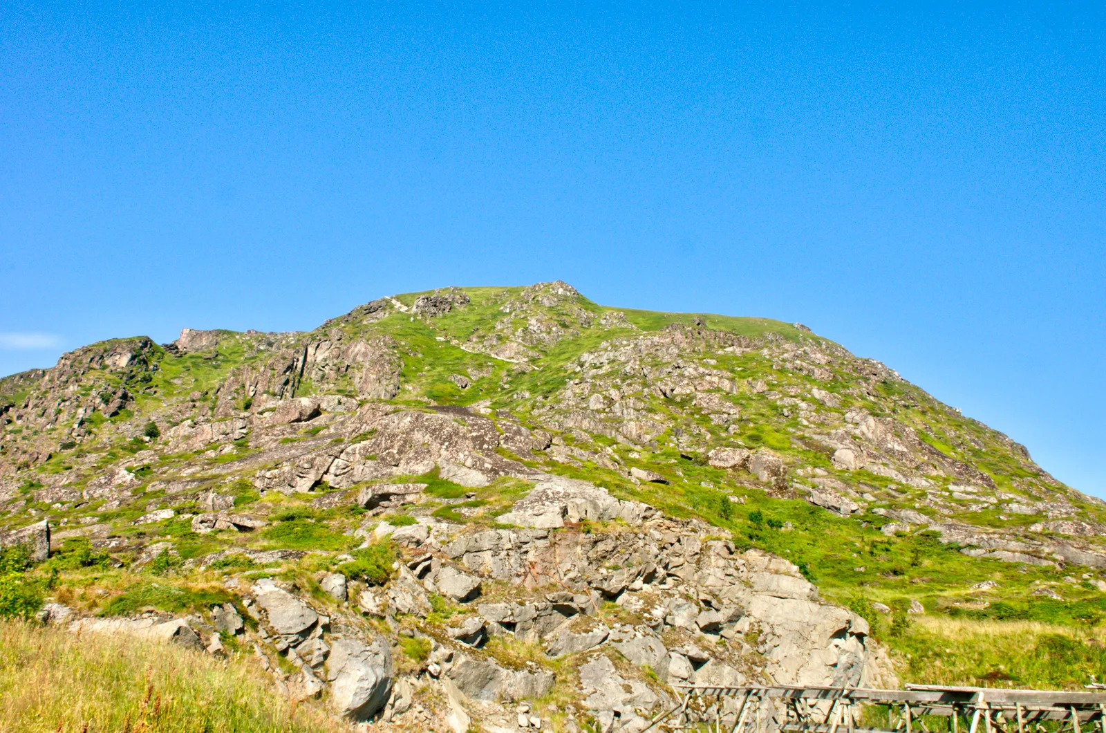 View from Kræmmervika