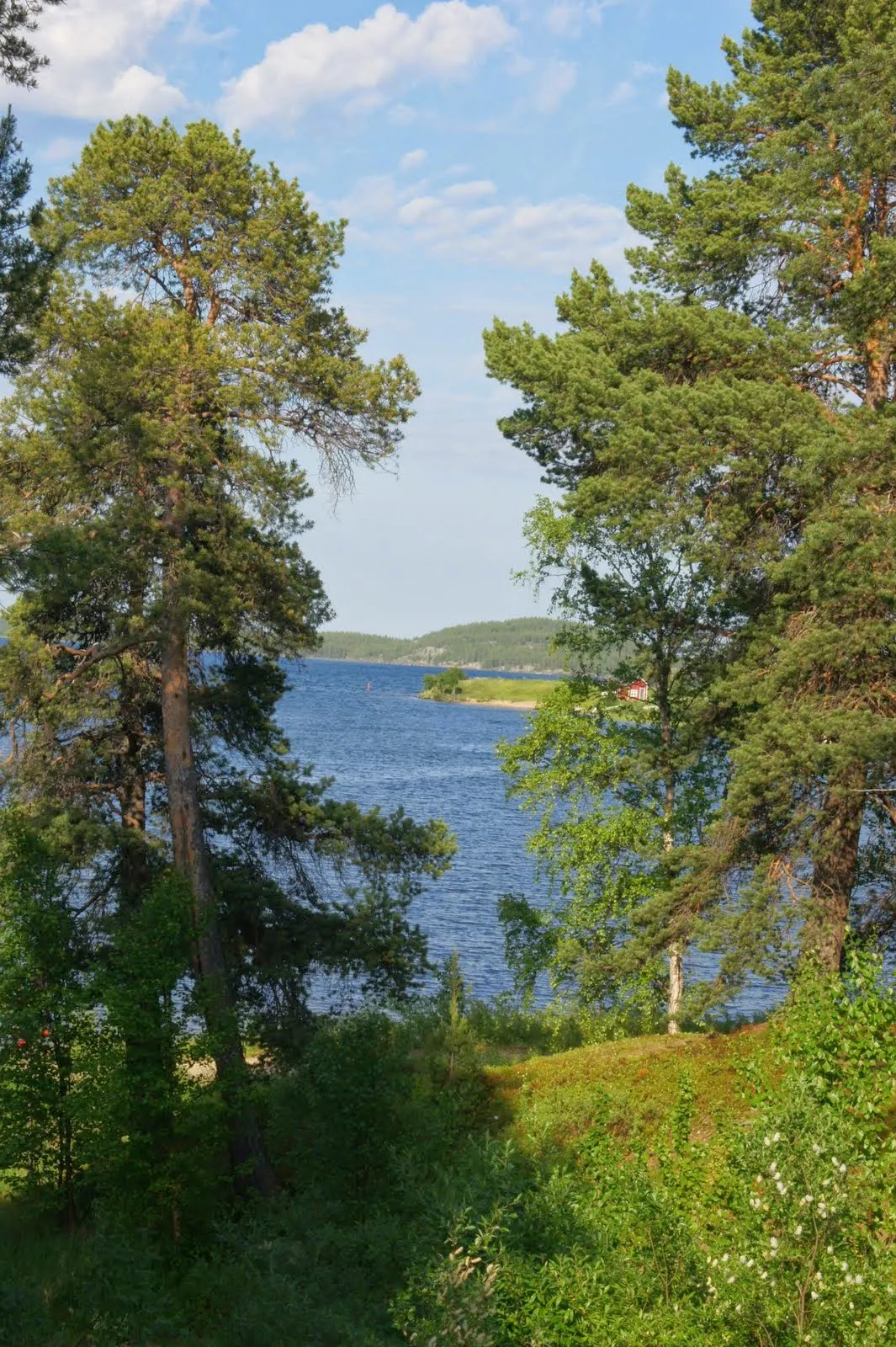 8.7 Inari