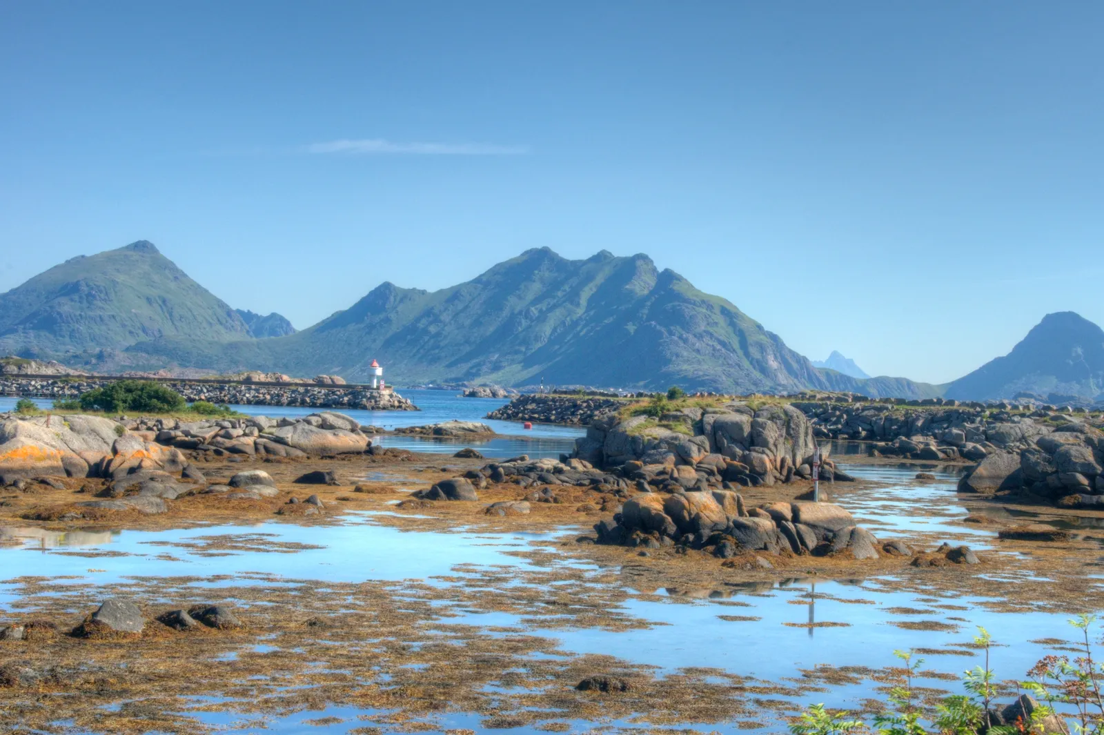 View from Kræmmervika