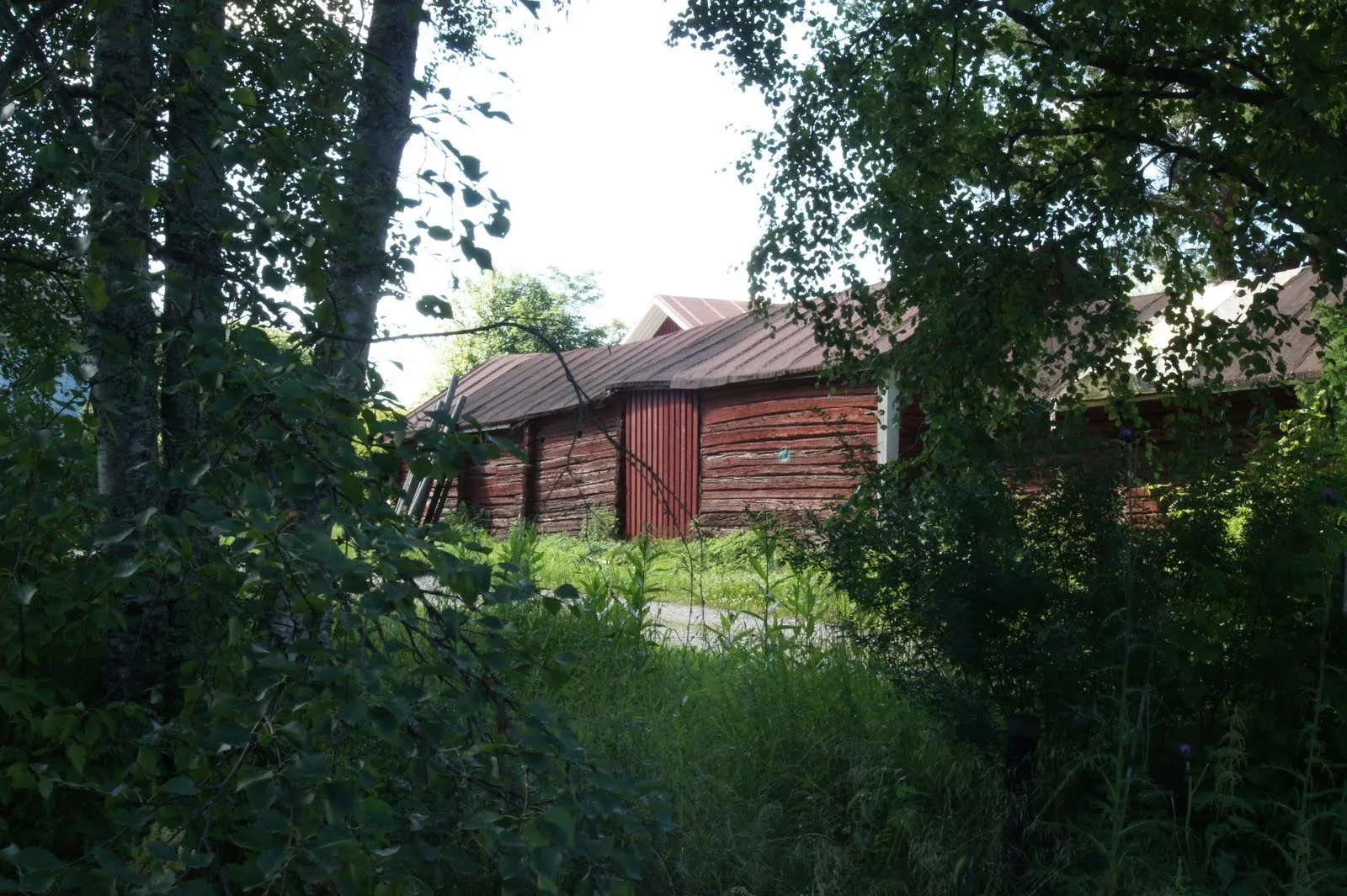 Museo area in Liminka