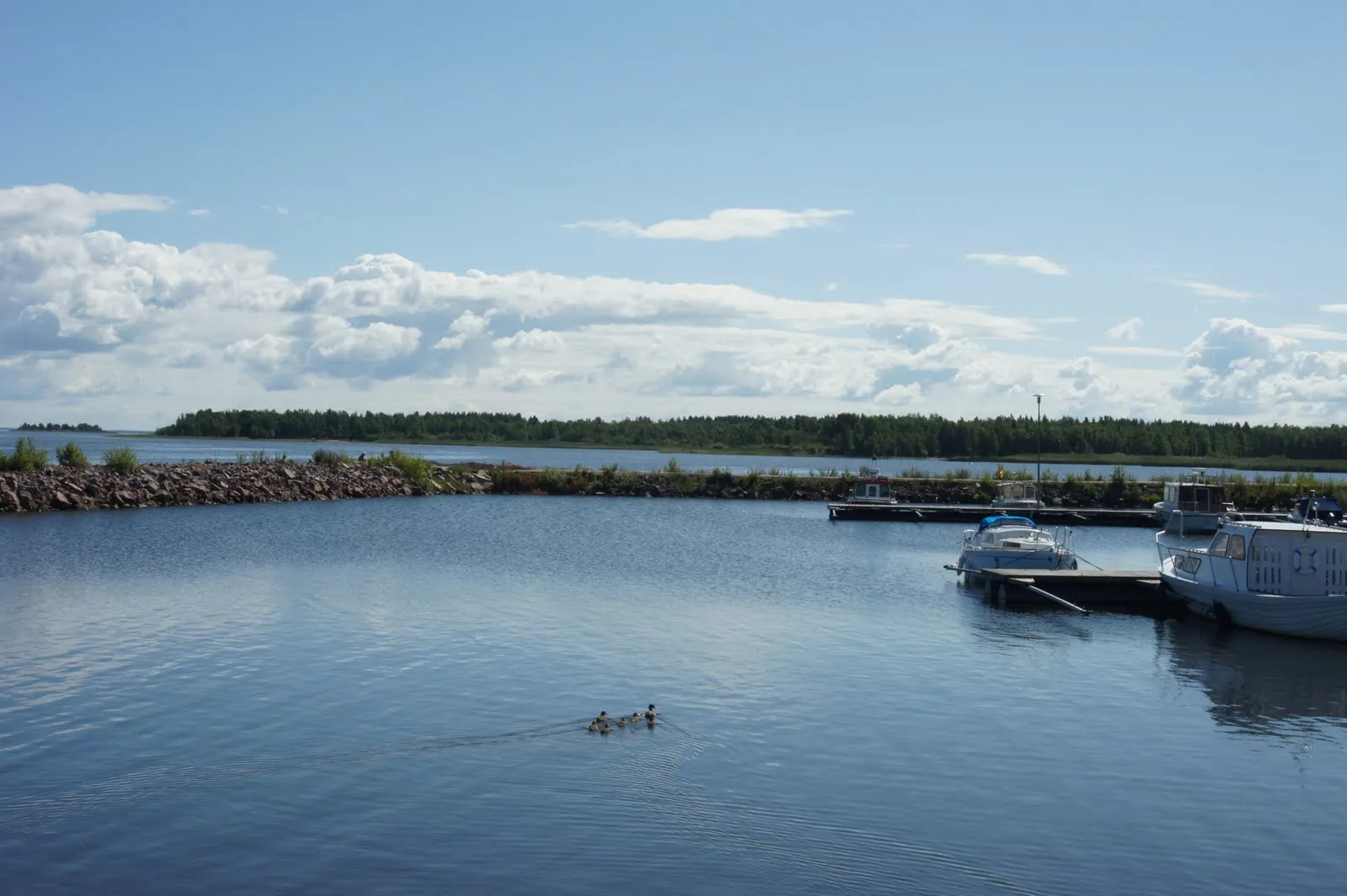 Varjakka, Lumijoki