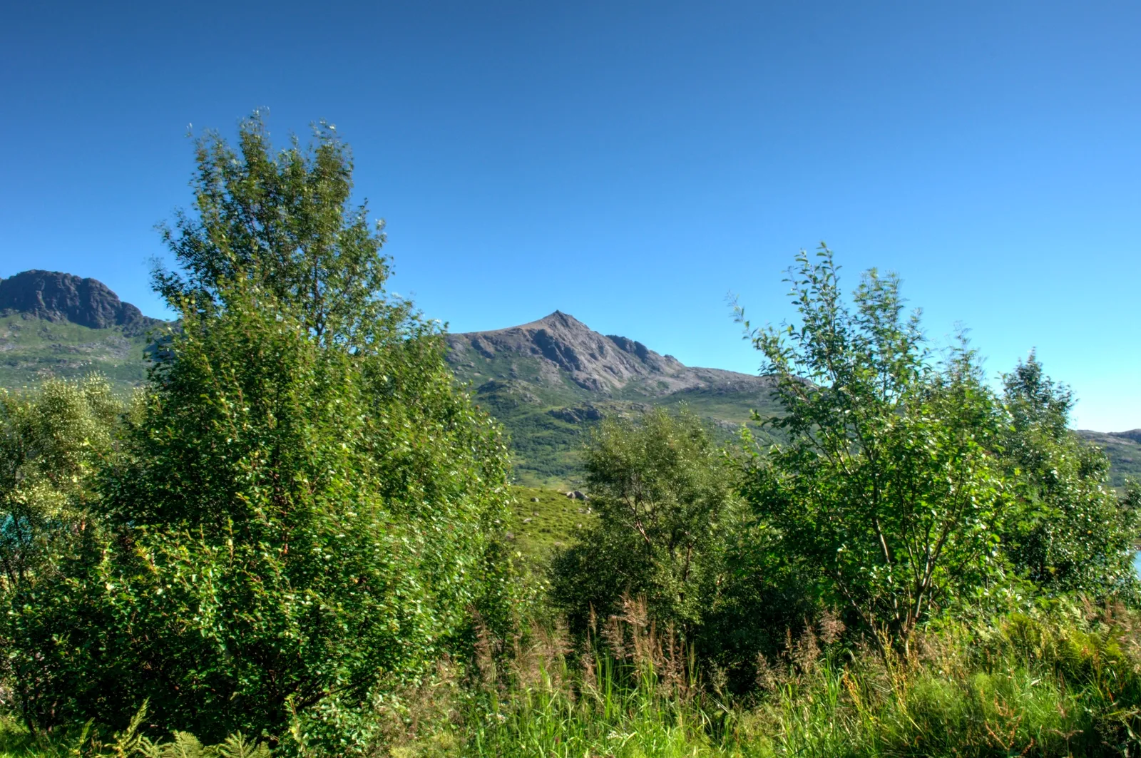 Flakstadøya
