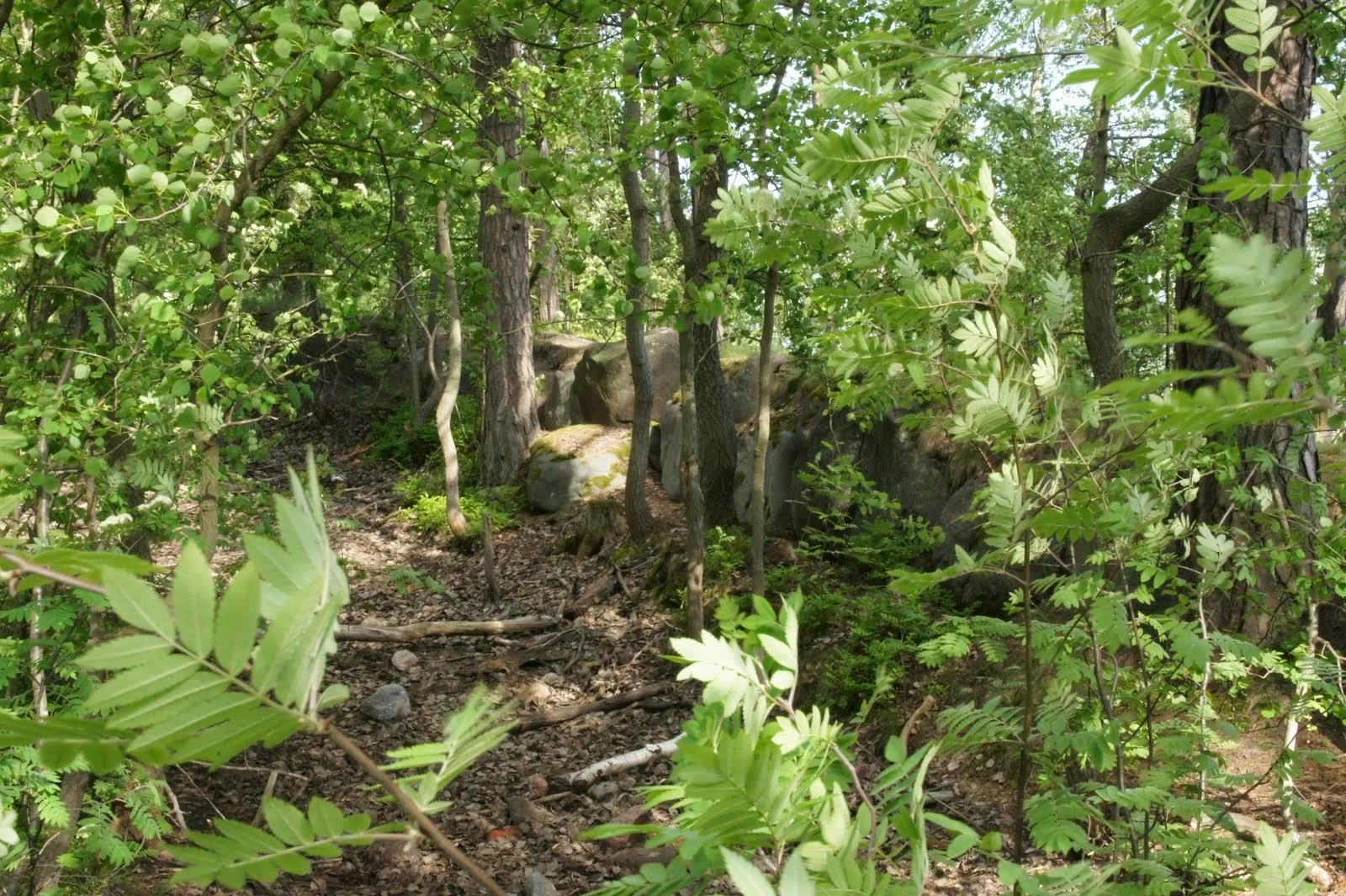 Bank of an old fortification