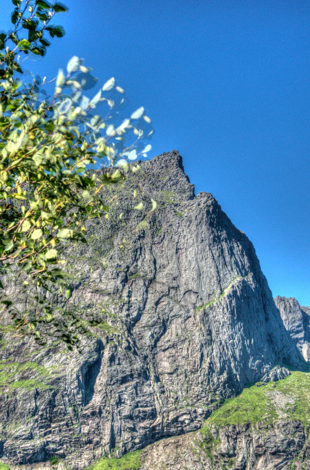 Flakstadøya