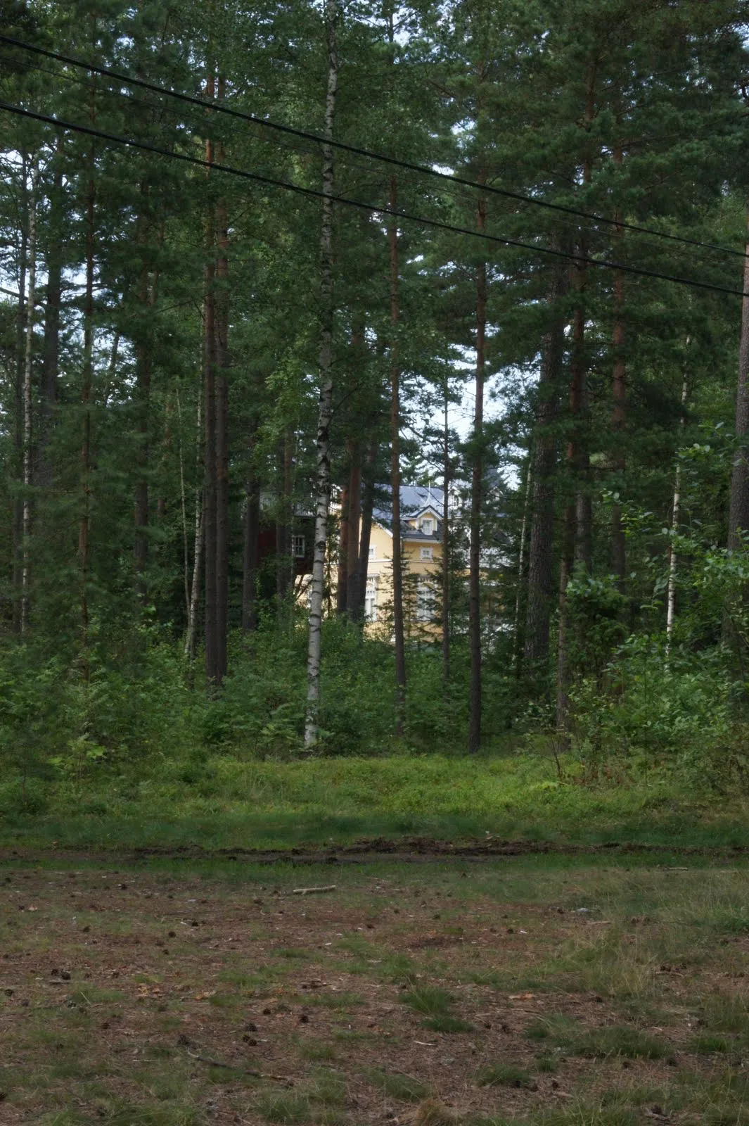 Nauvo