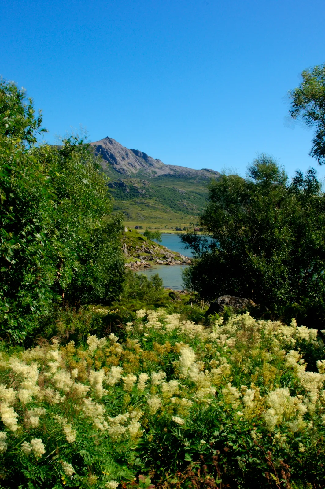 Flakstadøya