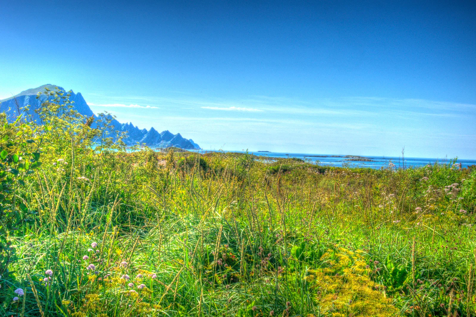 View from Andenes