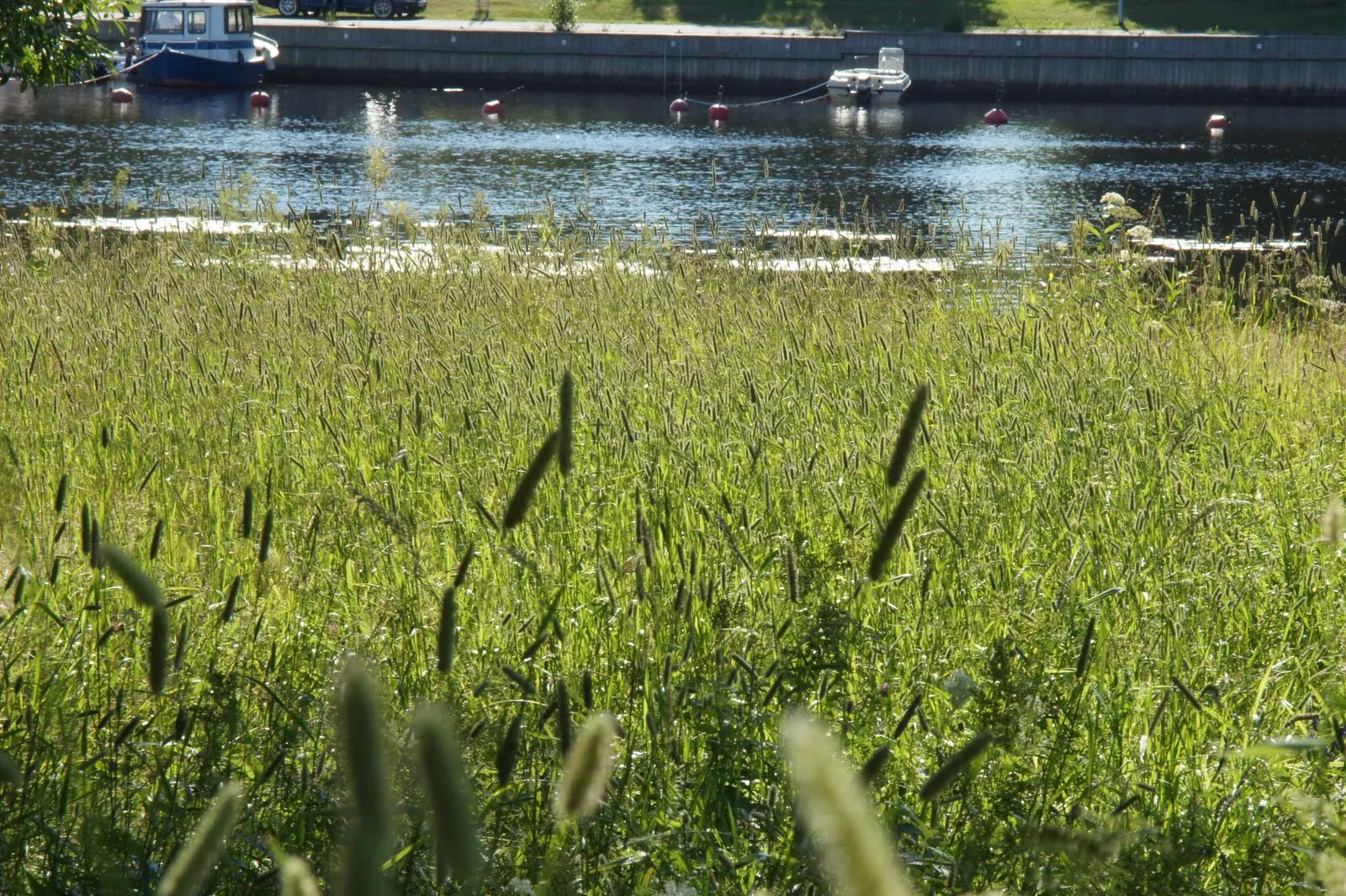 Tuira, Oulu