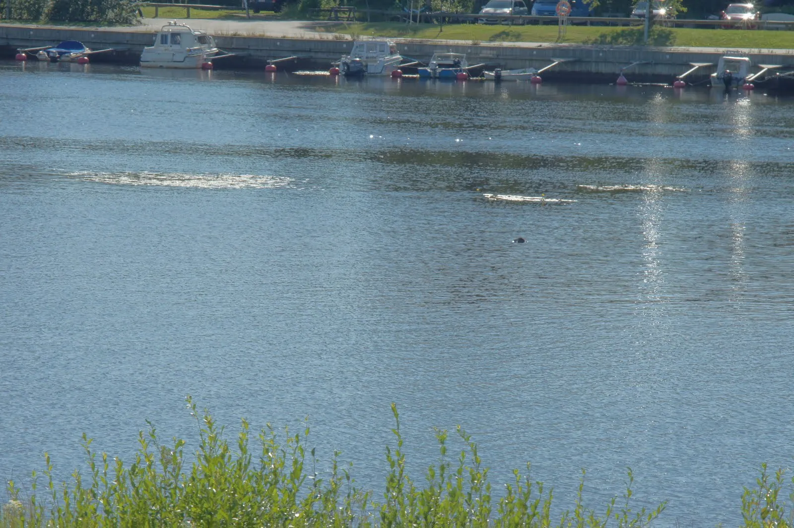 Tuira, Oulu