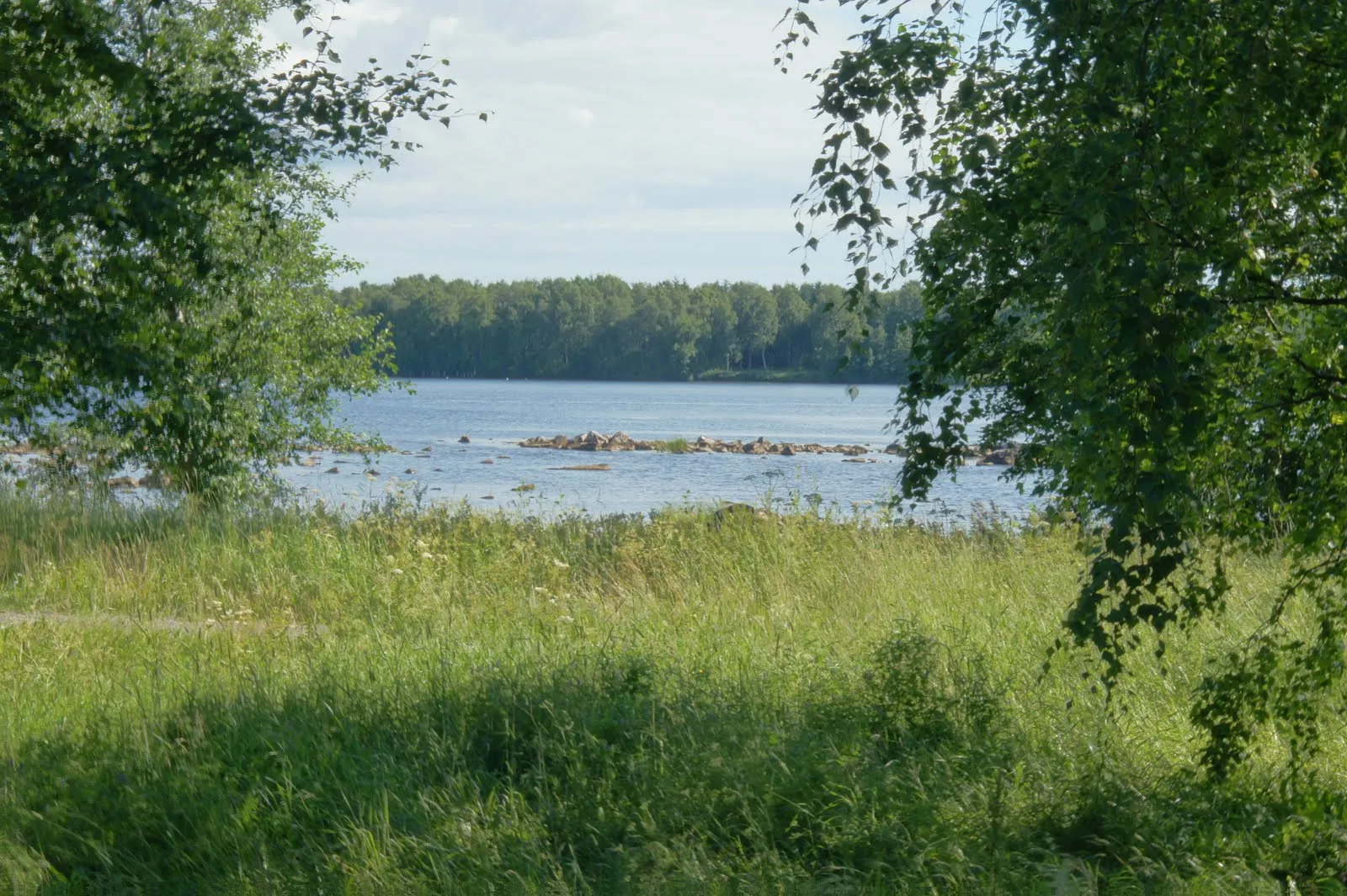 Tuira, Oulu