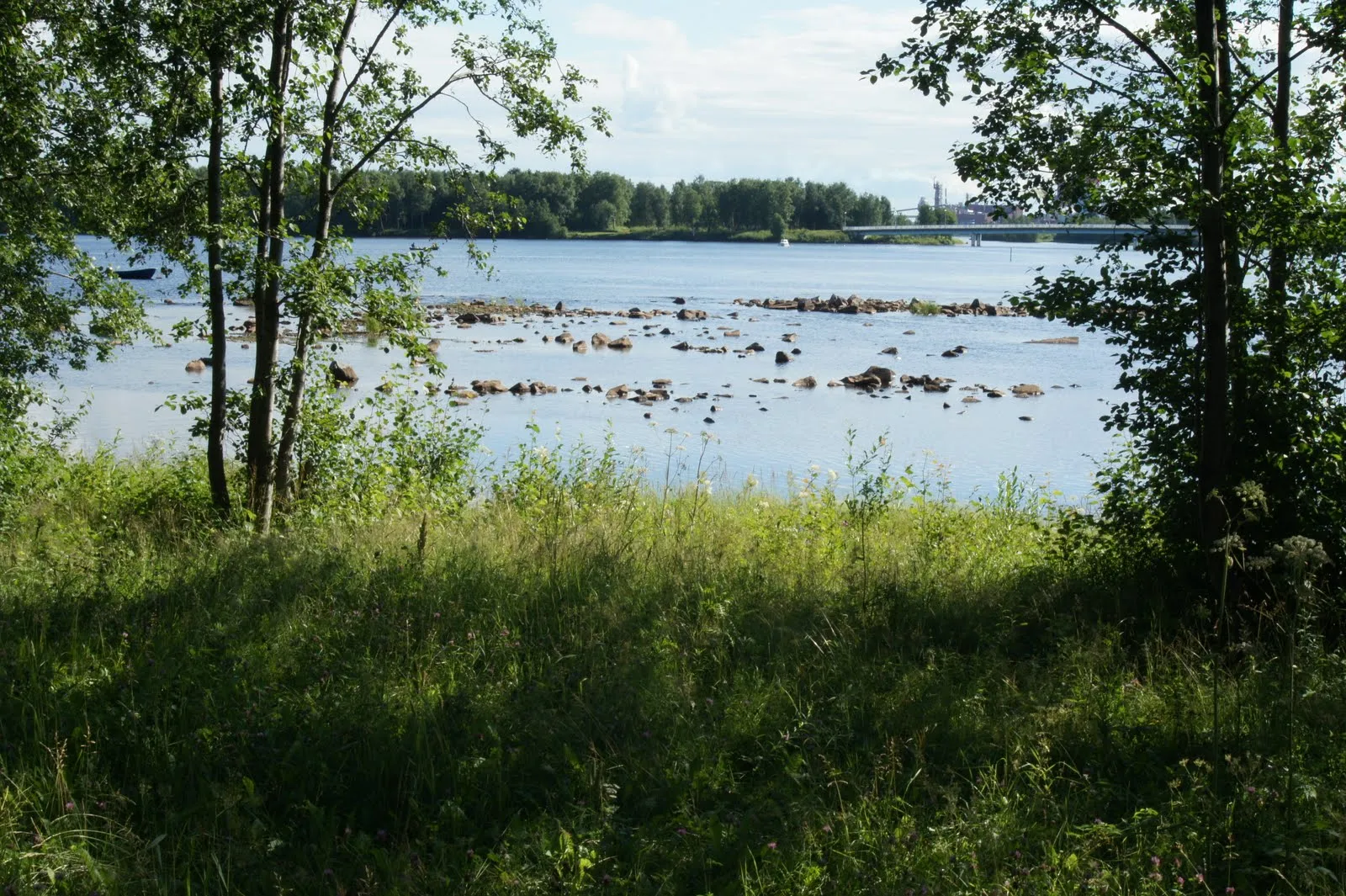 Tuira, Oulu