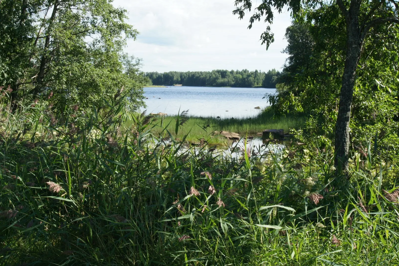 Tuira, Oulu