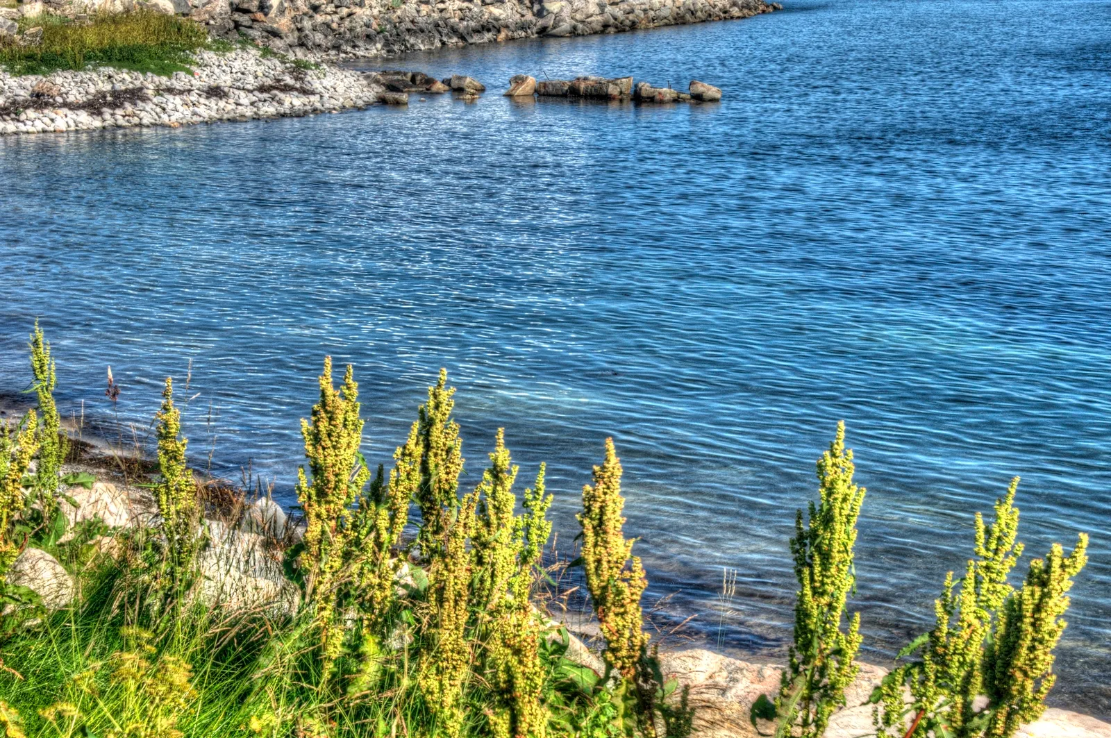 View from Andenes