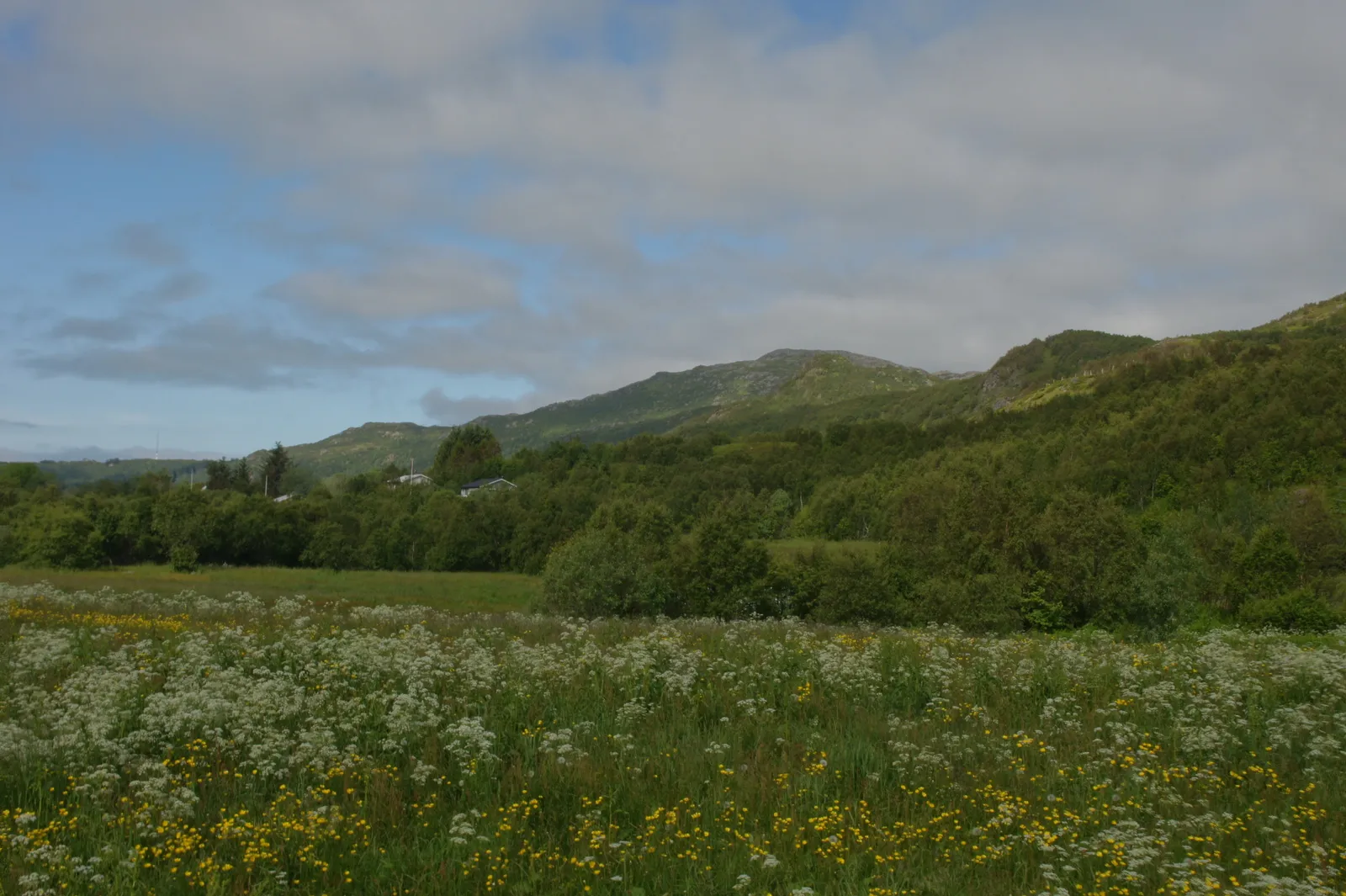 Driving around Vestvågøy