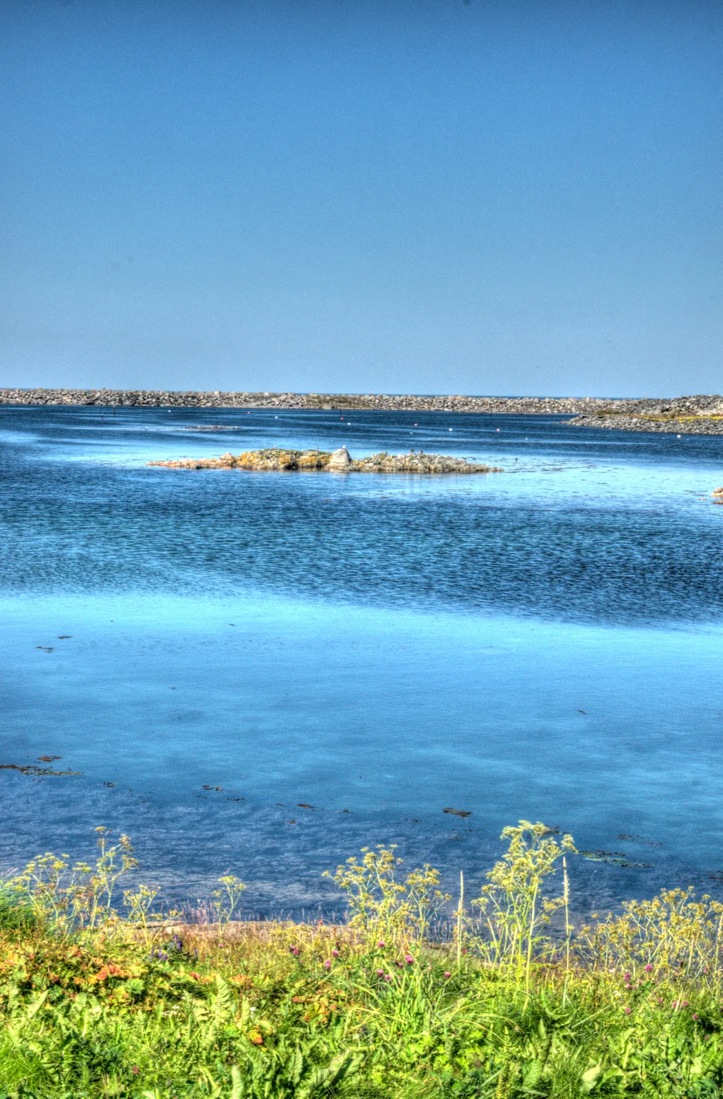 View from Andenes