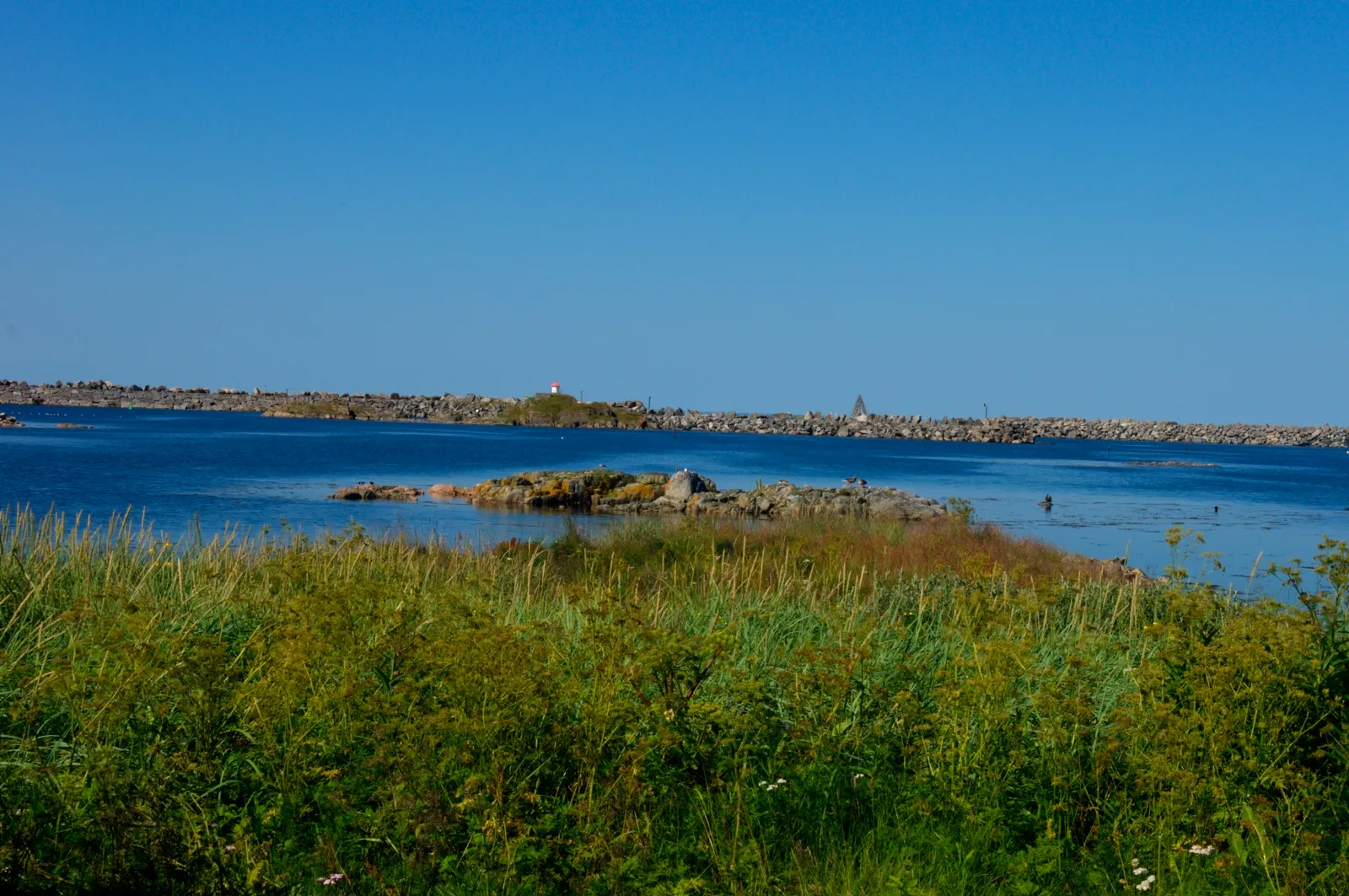 View from Andenes