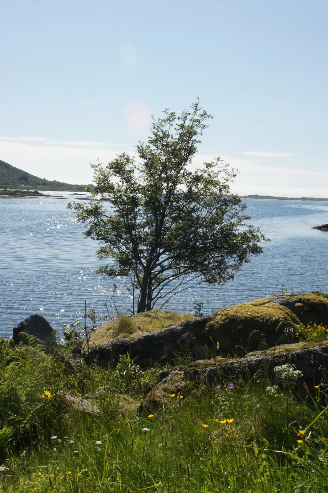Driving around Vestvågøy