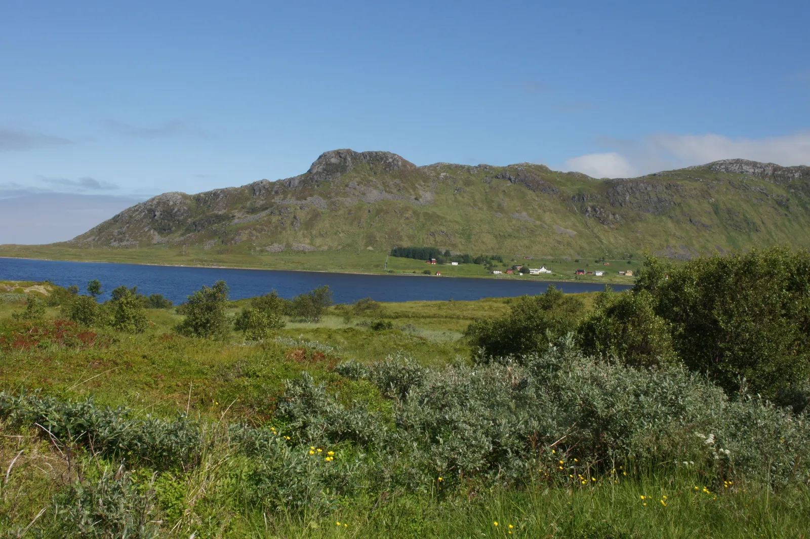 Driving around Vestvågøy