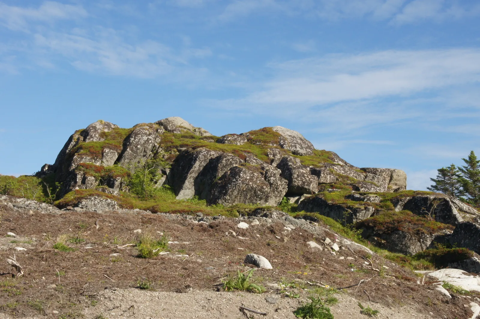 Kræmmervika