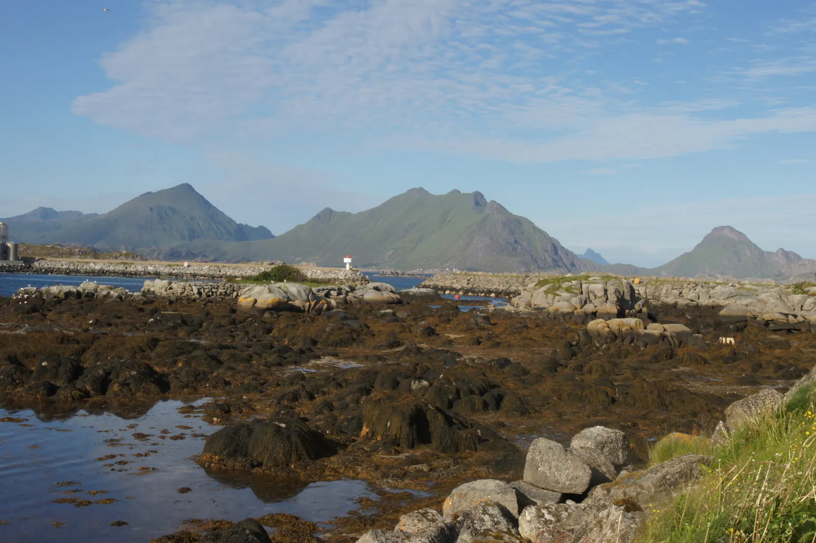 Kræmmervika