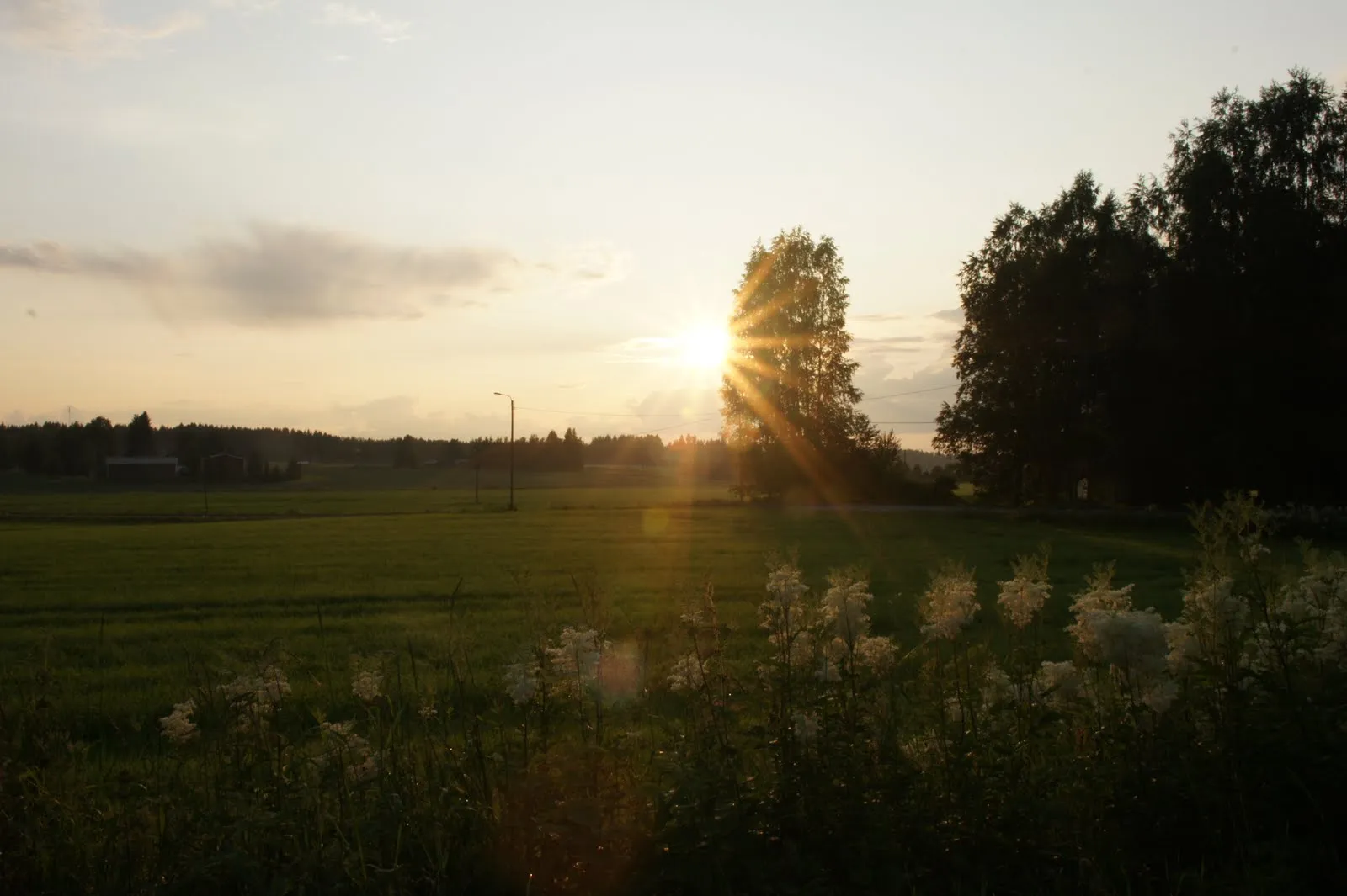 17.7 Käärmelahti, Maaninka, Kuopio