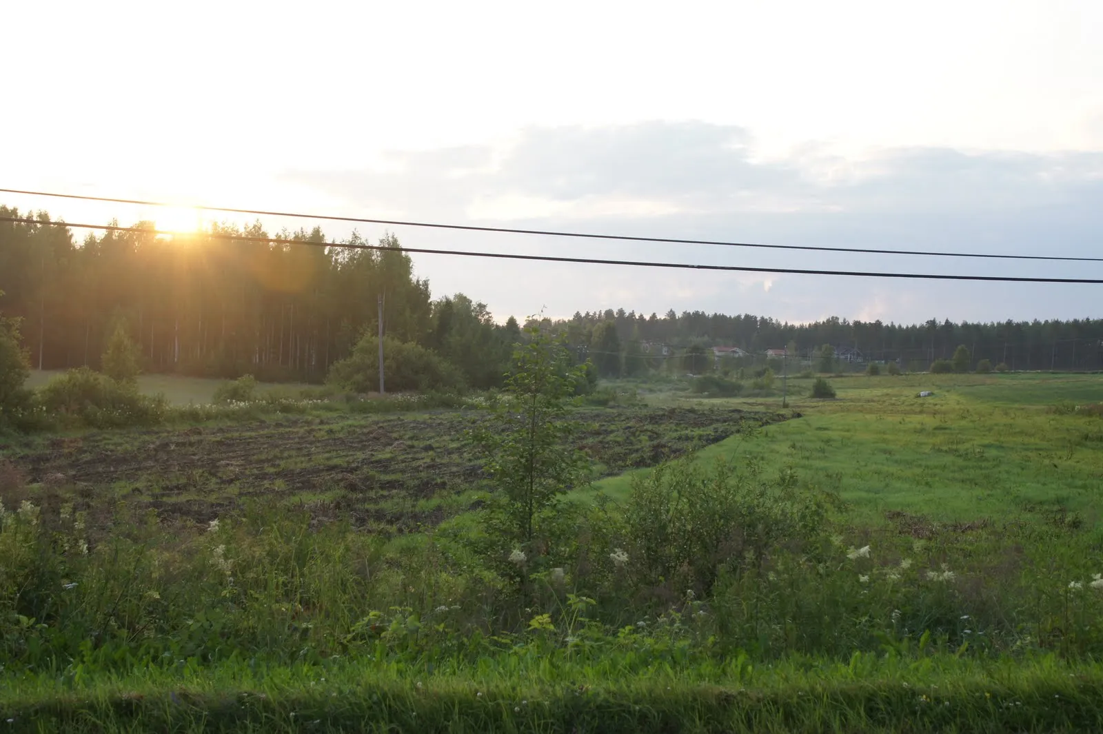 17.7 Käärmelahti, Maaninka, Kuopio