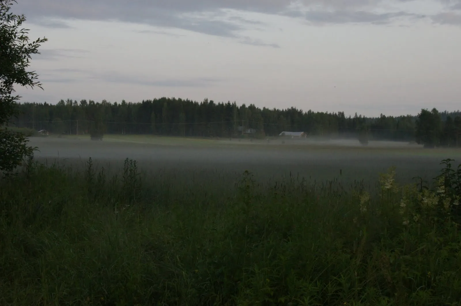 17.7 Käärmelahti, Maaninka, Kuopio
