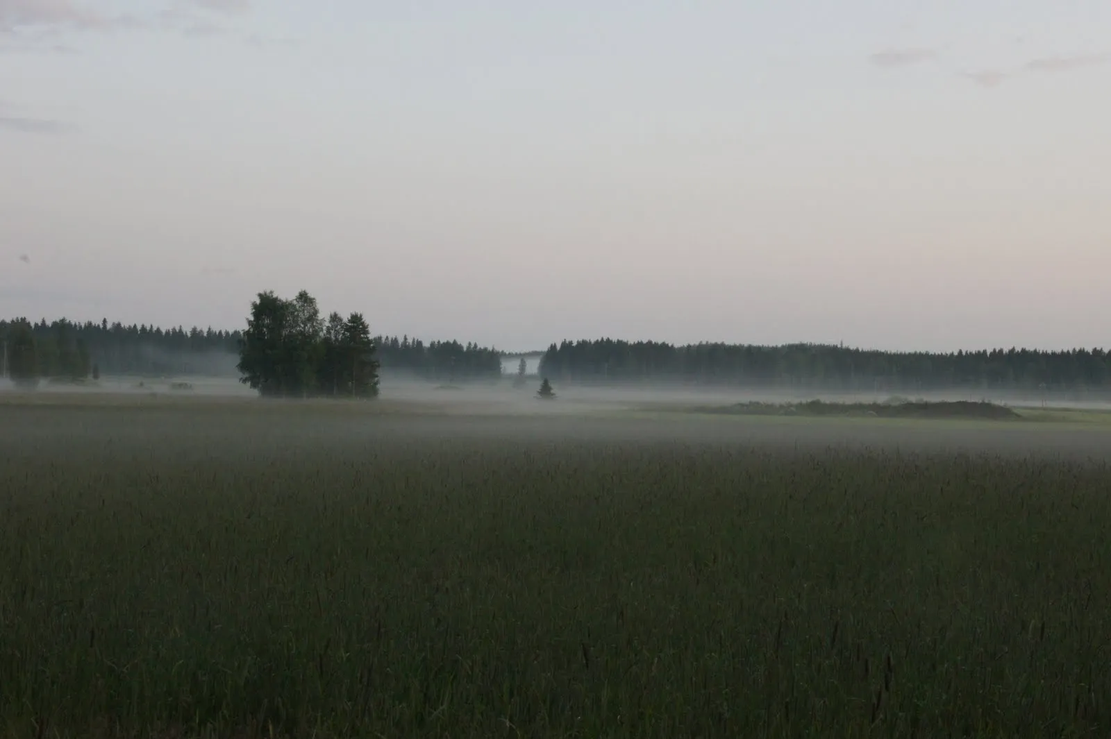 17.7 Käärmelahti, Maaninka, Kuopio