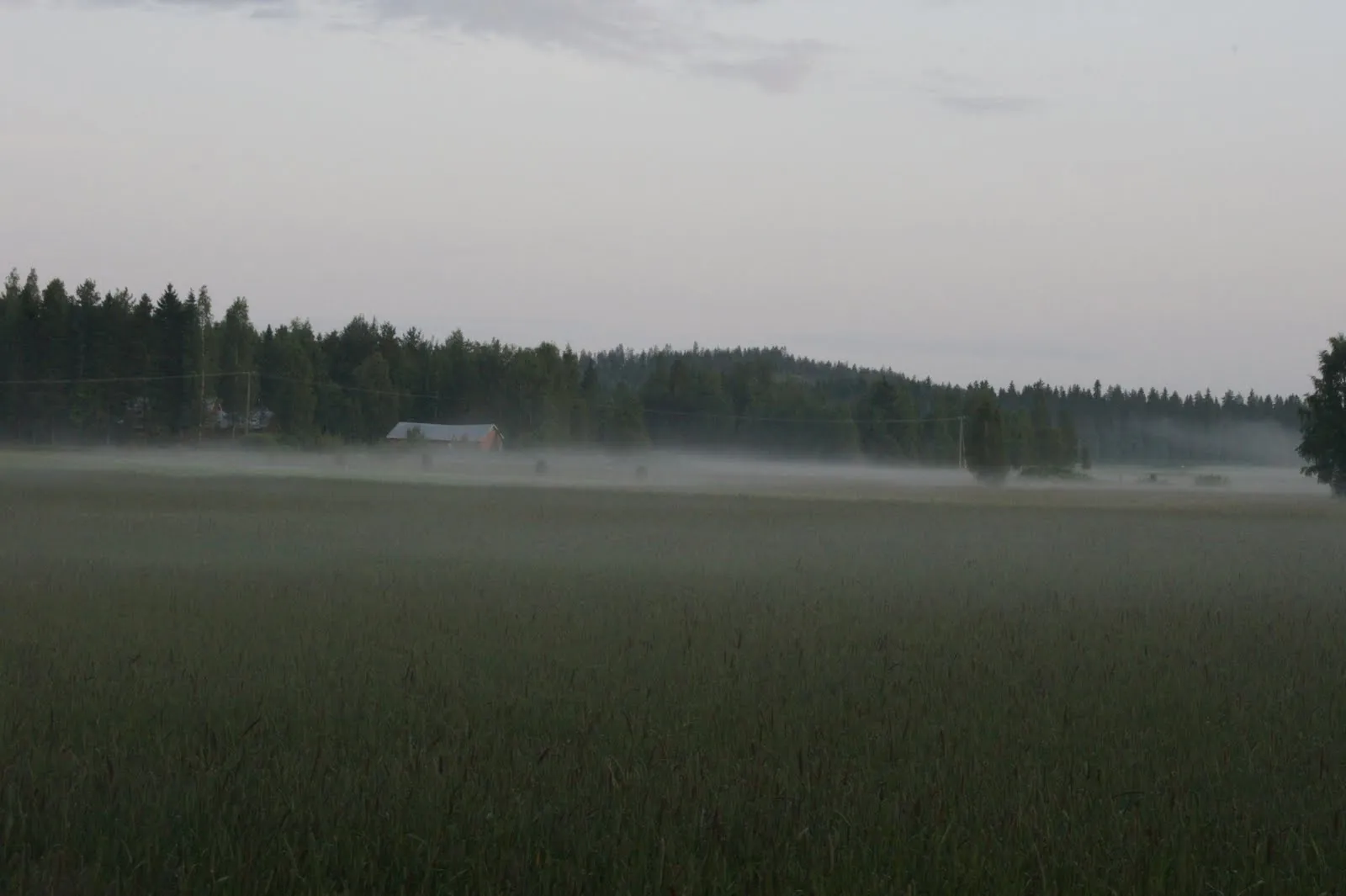 17.7 Käärmelahti, Maaninka, Kuopio