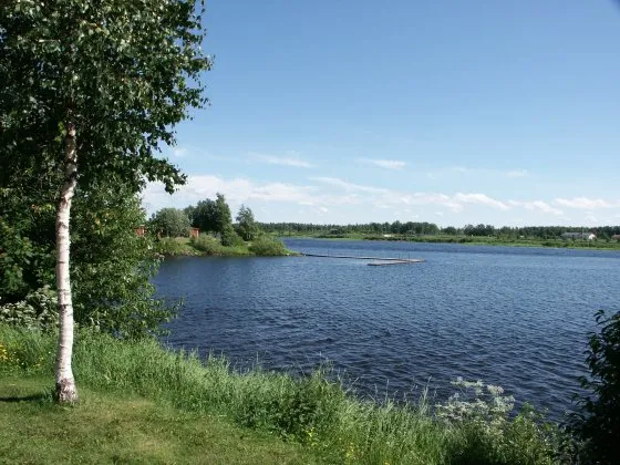 Tornionjoki