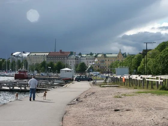 Merikatu