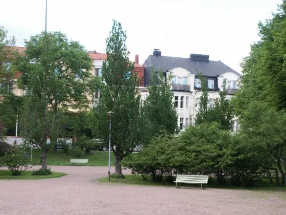 Eira