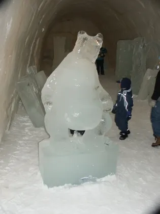 Ice sculture in the gallery