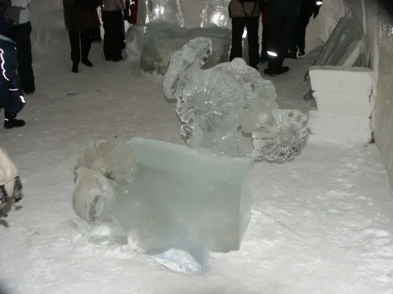 Ice sculture in the gallery