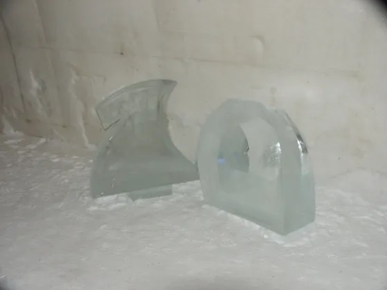 Ice sculture in the gallery