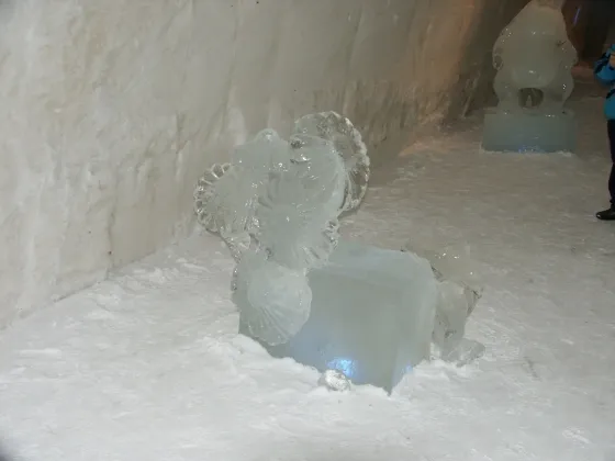 Ice sculture in the gallery