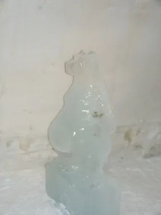 Ice sculture in the gallery
