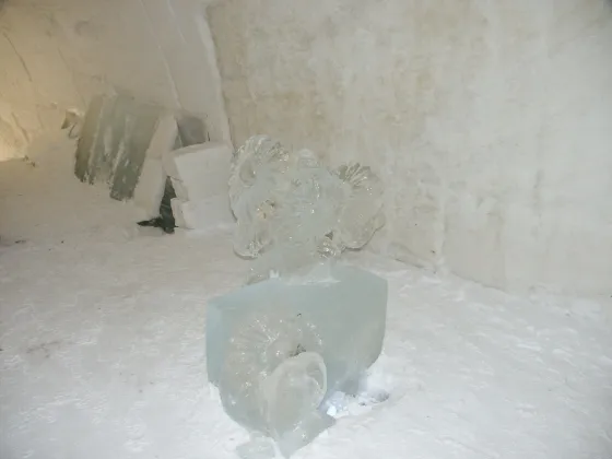 Ice sculture in the gallery