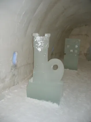 Ice sculture in the gallery