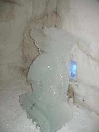 Ice sculture in the gallery