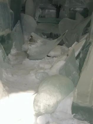 Ice sculture in the gallery