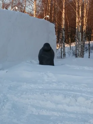 Sculture in Meripuisto