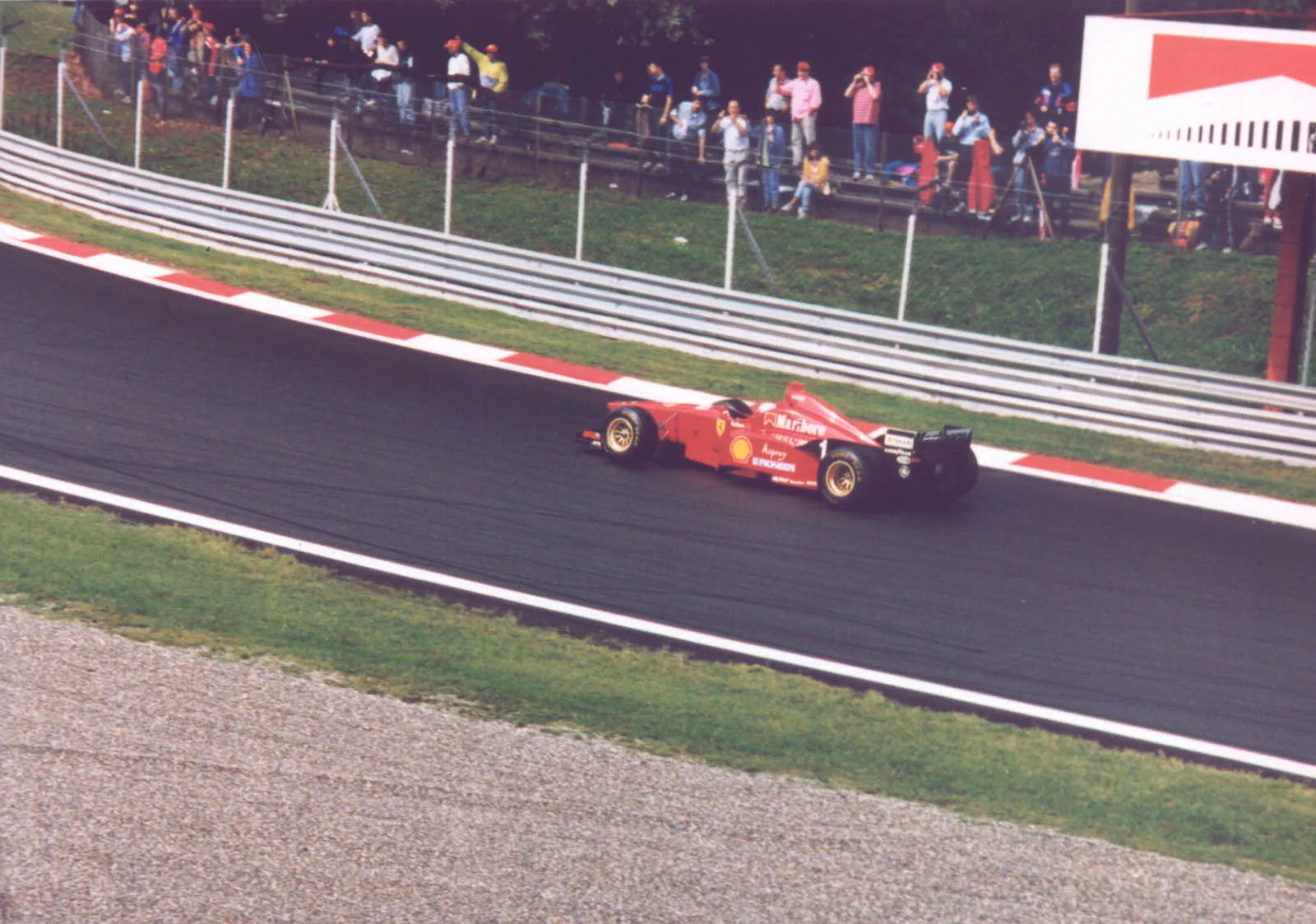 Luca Badoer on Ferrari F310