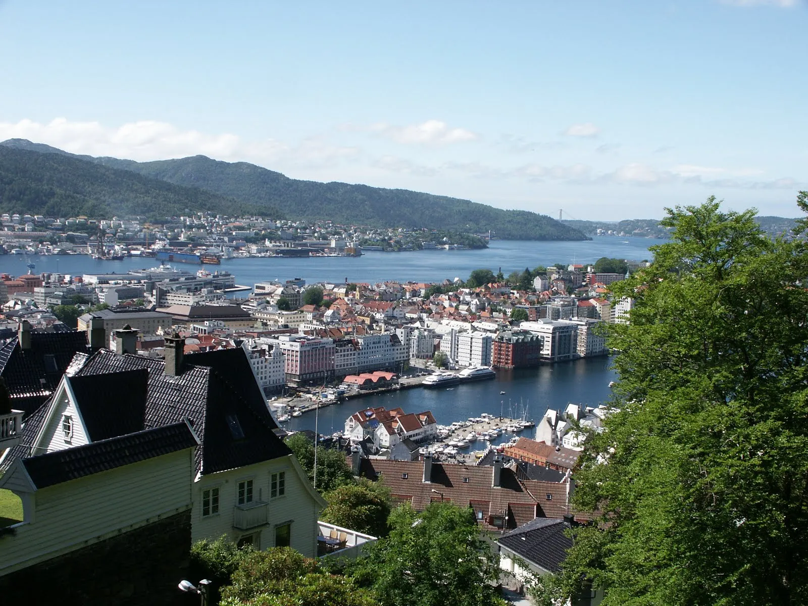 Fjellveien