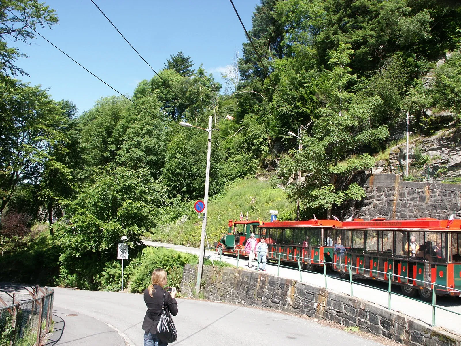 Fjellveien