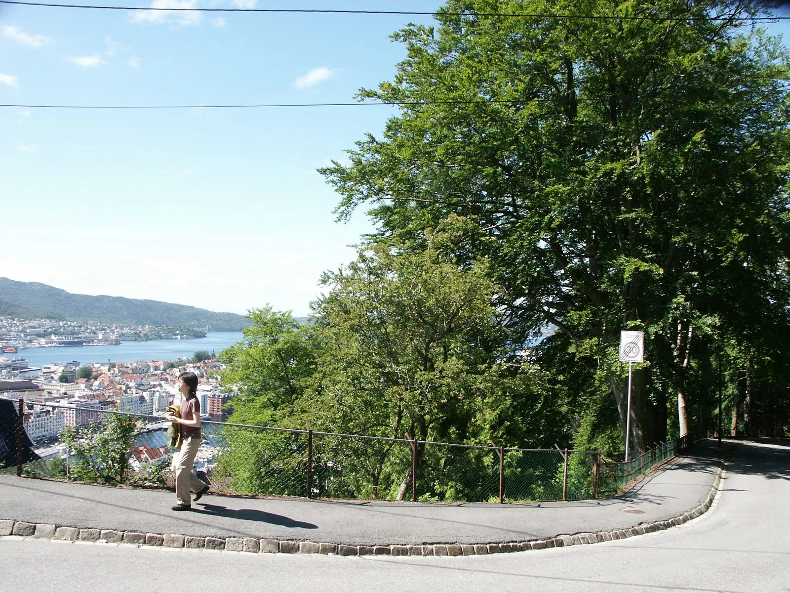 Fjellveien