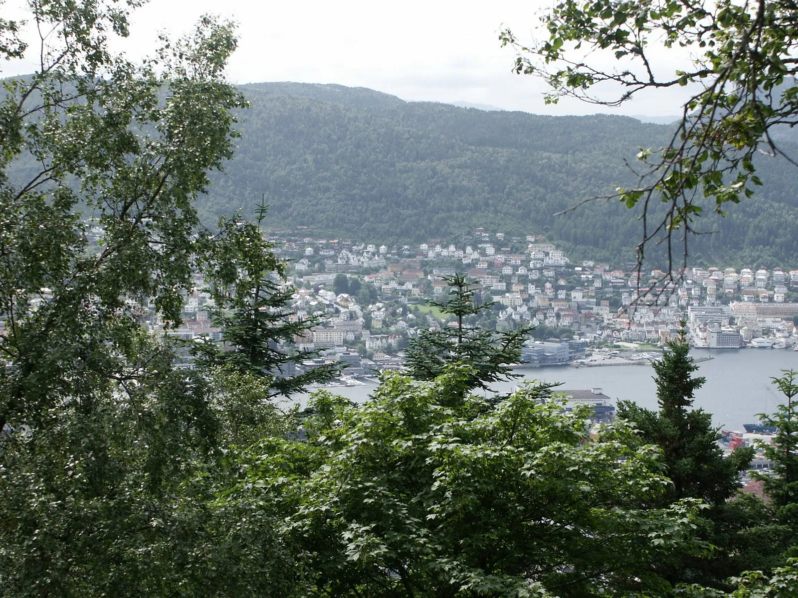 Walking down from Fløyen