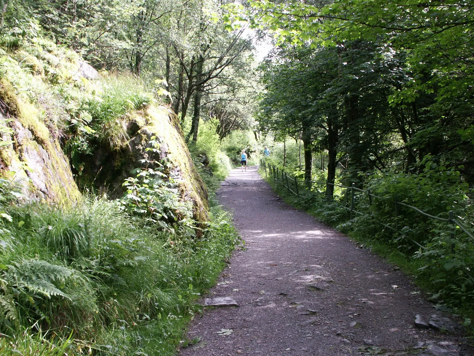 Walking down from Fløyen