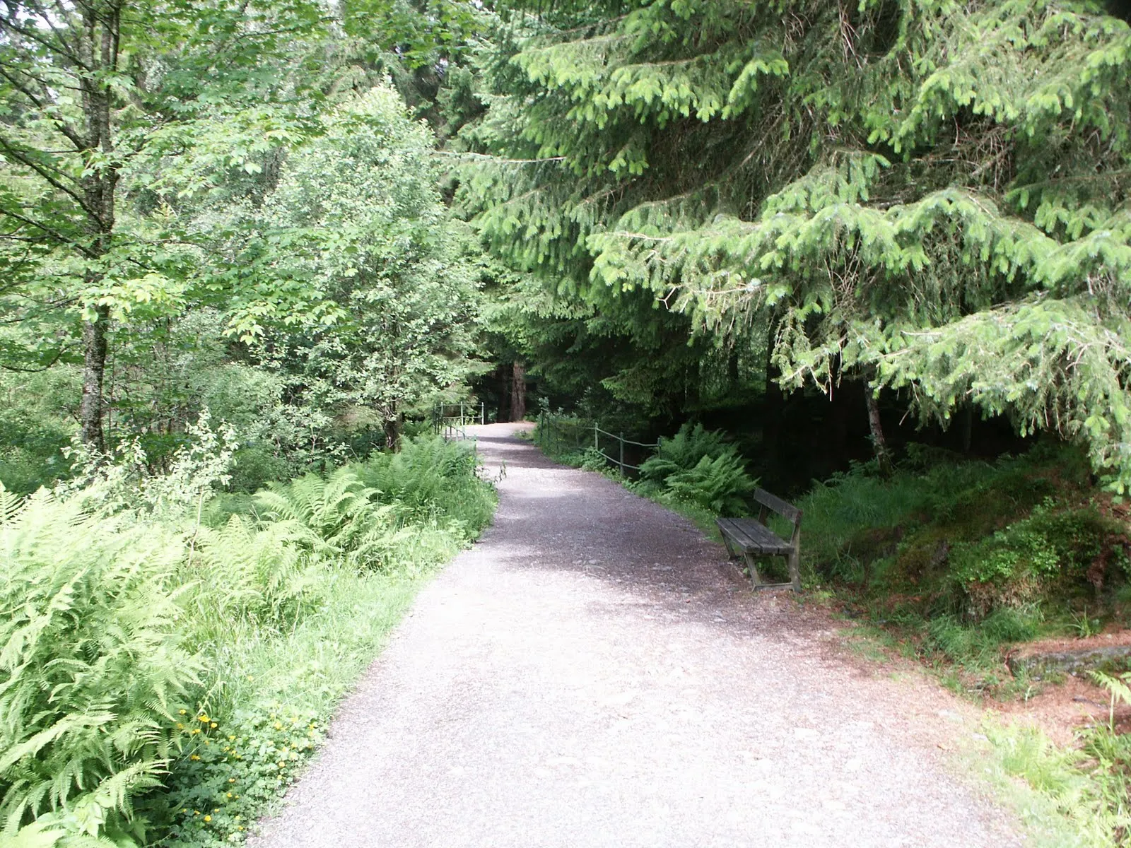 Walking down from Fløyen