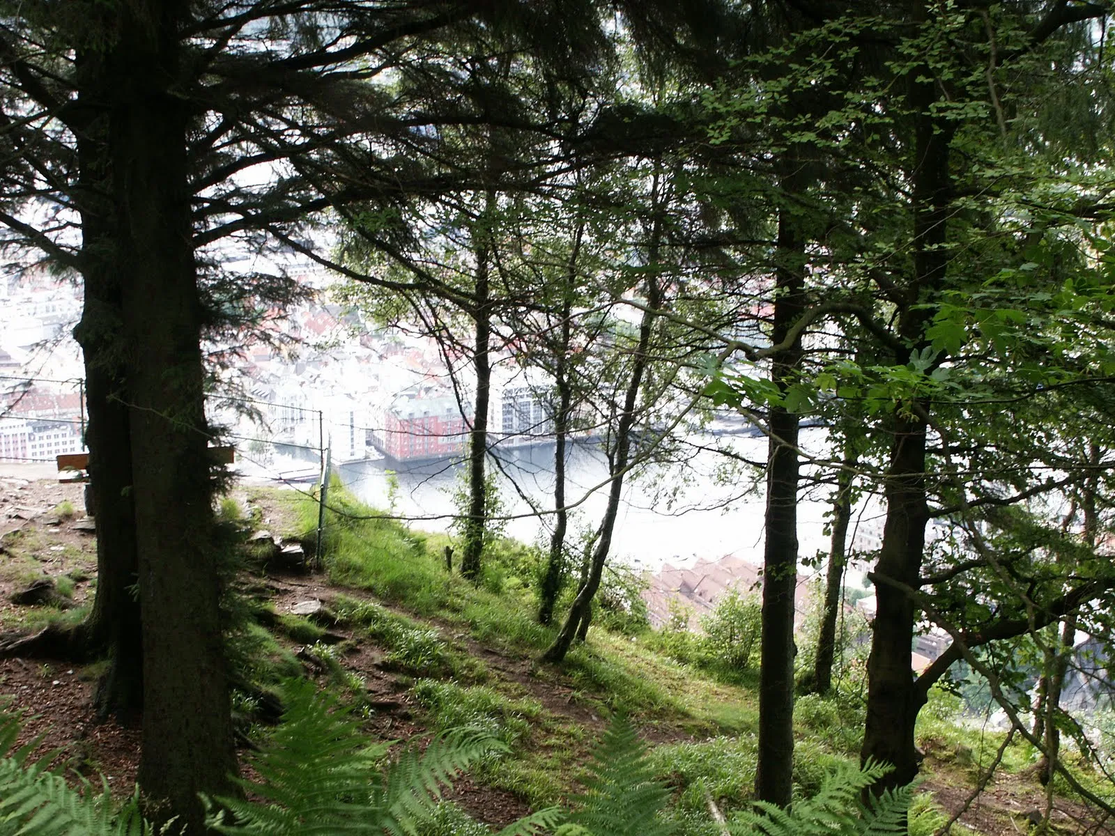 Walking down from Fløyen